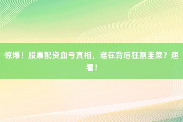 惊爆！股票配资血亏真相，谁在背后狂割韭菜？速看！