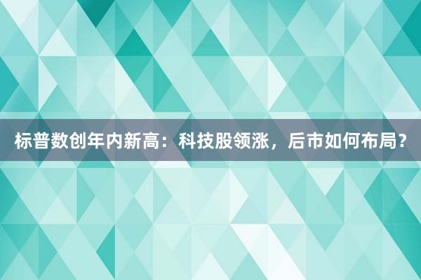标普数创年内新高：科技股领涨，后市如何布局？